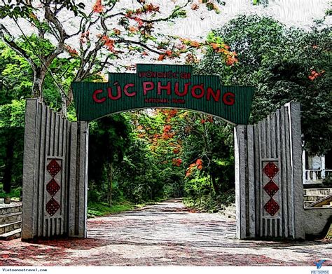 rung-nguyen-sinh-cuc-phuong-lac-vao-khu-rung-gia